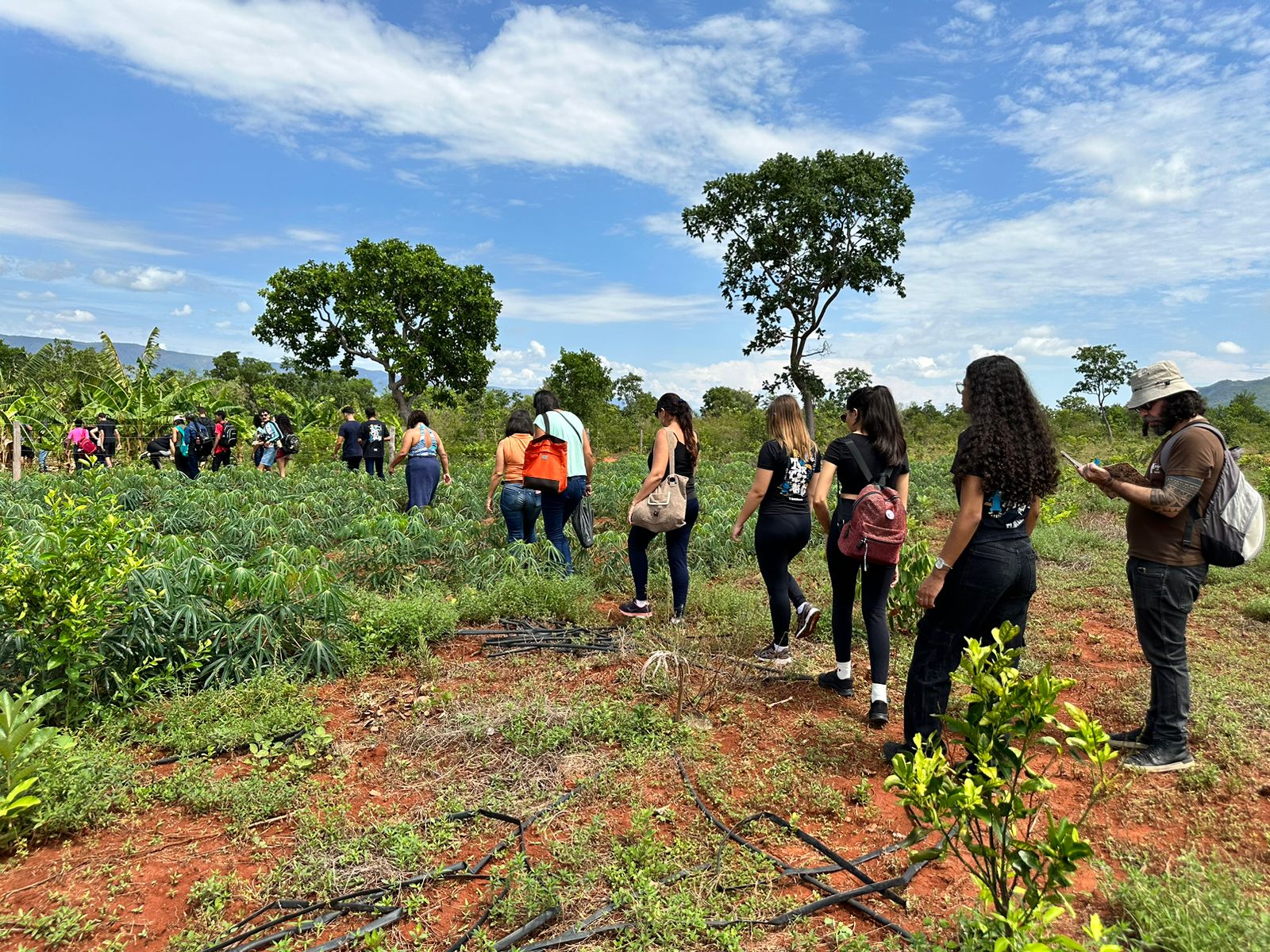 Alunos e servidores visitam plantações